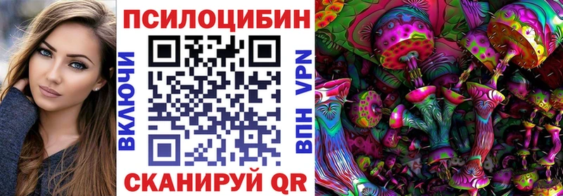 Купить Новая Ладога Псилоцибиновые грибы Cubensis
